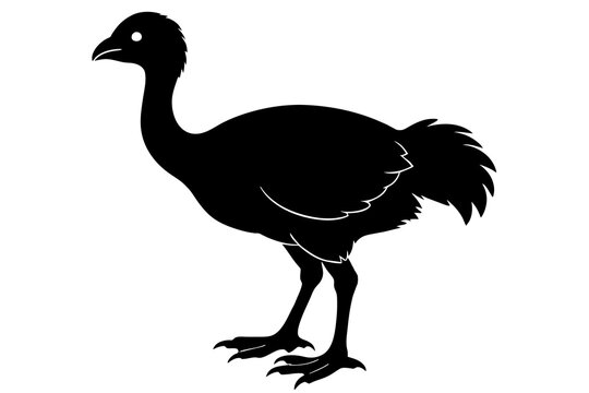 black bird silhouette on white background clip art preview
