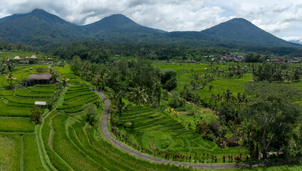 Fields and hills of the Jatiluwih Rice Terraces, Jatiluwih, Bali, Indonesia.