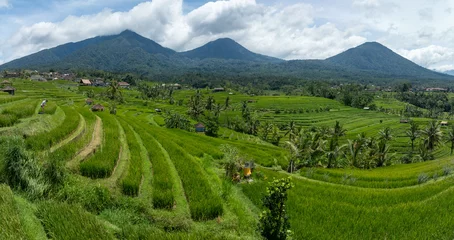 Deurstickers Fields and hills of the Jatiluwih Rice Terraces, Jatiluwih, Bali, Indonesia. © Zenstratus