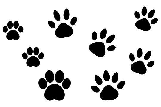 footprints silhouette vector illustration