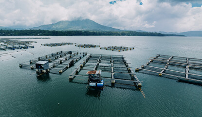 Aerial: Fish farm along the shore of Danau Batur lake. Mount Batur, Kintamani, Bali, Indonesia.