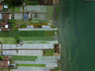 Agriculture farmland and houses on the shore of Danau Batur lake. Mount Batur, Kintamani, Bali, Indonesia.