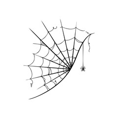 Doodle spider web icon on white background.