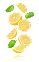 Juicy lemon slice with mint leaf  flying isolated on white background.
