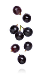 black grape flying on a white background