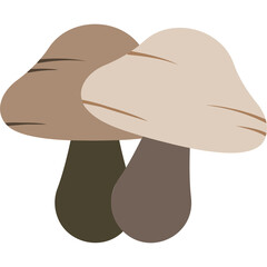 Mushroom Illustration
