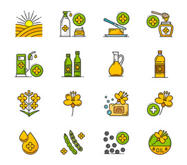 Rapeseed, canola oil icons with vector flowers and seeds. Thin line agriculture crop plant field, colza vegetable oil bottle, jar, jug and golden drop. Butter, biofuel, rapeseed honey and cosmetics