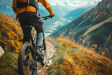 A civil engineer uses geospatial analysis software to plan a new bike trail that minimizes environmental impact. - obrazy, fototapety, plakaty