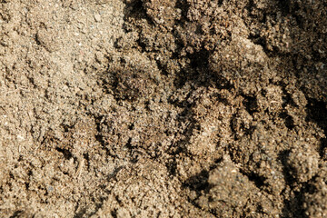 濡れて崩れた砂　土砂のテクスチャー背景