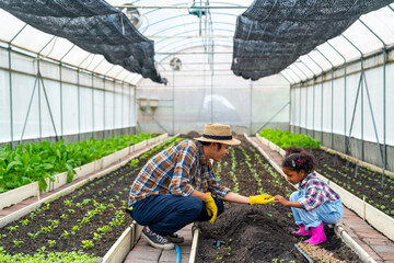 Happy little African child girl learning to grow organic vegetable with farmer in greenhouse...