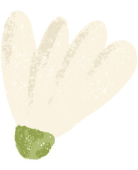 daisy flowers texture 