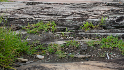 Rochas Paisagem Neblina Montanhas Natureza Amanhecer Serenidade Exploração Mistério Fotografia Ambiente Silhueta Viagem Céu Bruma Camadas Reflexão Beleza Vista Escarpas