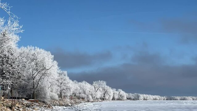 Frosty trees shine against blue cloudy sky near icy lake