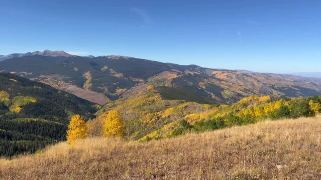 Pan right across mountain range with dark evergreens and gold aspen trees