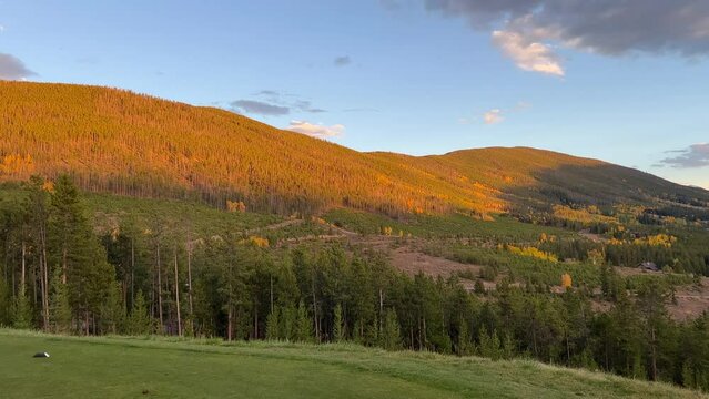 Sunlit mountain forest view from a golf course tee box