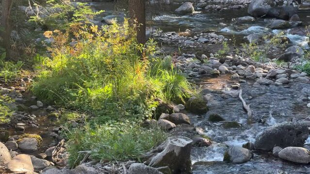 Two rock-filled streams join flows together