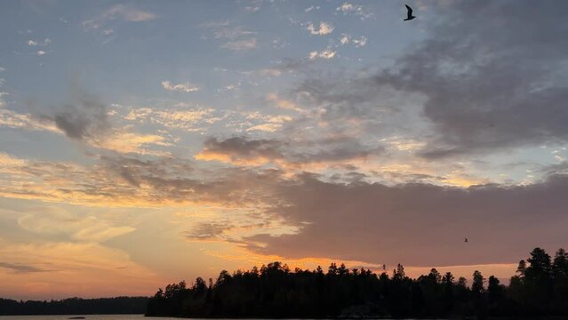 Gulls flying against a sunset sky on a northern lake