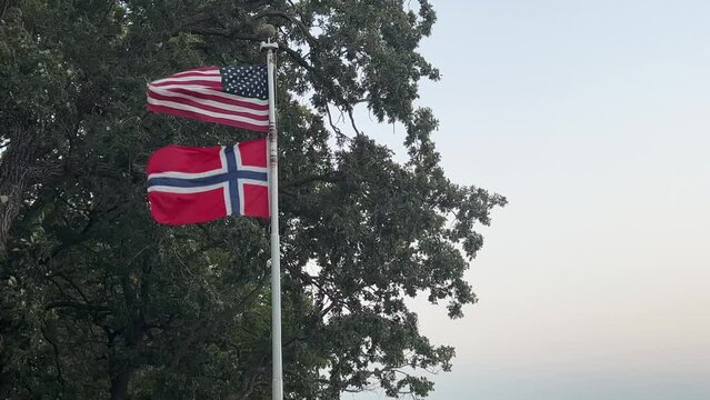 American and Norwegian flags stand out smartly against an old oak tree