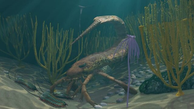 Prehistoric Eurypterus Hunting Trilobites Animation