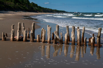 View of the Baltic Sea and wooden breakwaters on the Curonian Spit beach on a sunny summer day,...