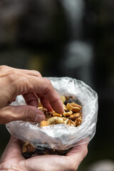 pair of hands overhead holding nuts such as walnuts almonds pistachios hazelnut peanuts raisins chestnut and pine nut