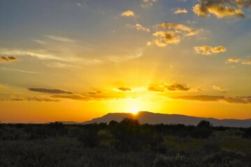 A golden sunset at Tsavo National Park, Kenya, Africa