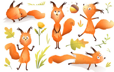 Crazy squirrel funny mascot character poses for kids illustration book. Playful animal action animation for a fairytale story. Vector hand drawn character design for children in watercolor style. - 773639725