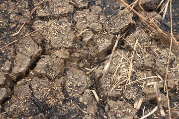 A cracked ground with grass growing out of it
