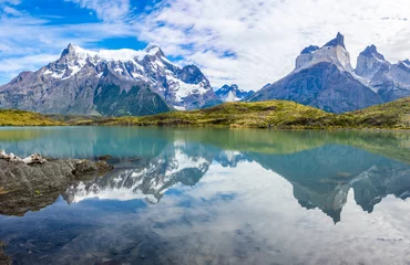 Photo sur Plexiglas Cuernos del Paine Nordenskjöld Lake in Torres del Paine National Park in Chile Patagonia