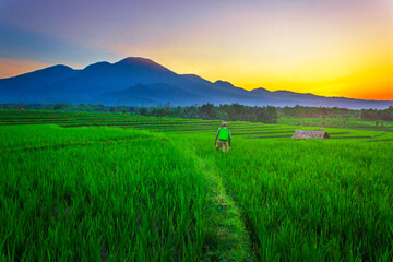 beautiful morning view from Indonesia of mountains and tropical forest