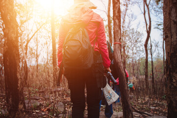 Young woman carries a bag and travels in the natural forest With the morning sun shining concept of...