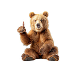 photo of grizzly bear showing middle finger, isolated on white background