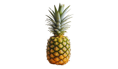 Fresh whole pineapple with a textured skin