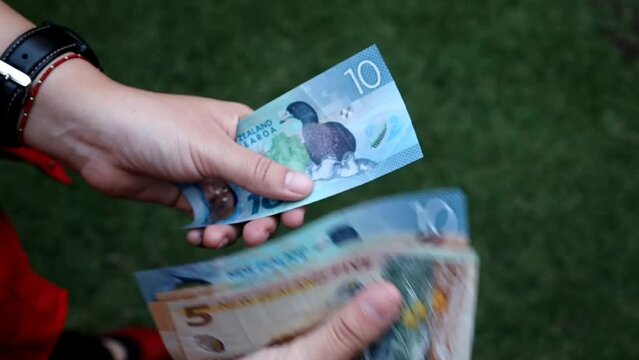 economy and finance with New Zealand money
