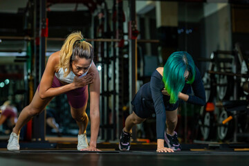Two Asian women gym partner doing planking with the shoulder tap exercise on the floor which...