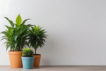 Plant in pots with copy-space background concept, blank space. Urban Oasis: Bringing Greenery to City Spaces with Pots