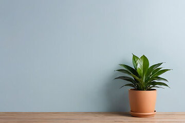 Plant in pots with copy-space background concept, blank space. Botanical Bonanza: Potted Plants for Every Room