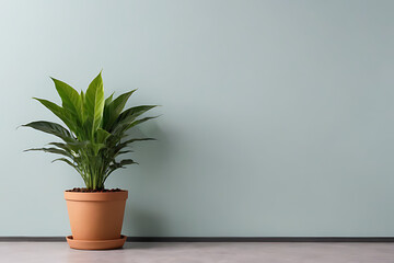 Plant in pots with copy-space background concept, blank space. Potted Paradise: Bringing Nature...