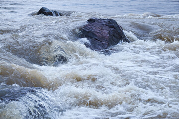 Altai river Katun in Spring season. Boulders in river rapids. - 773657349
