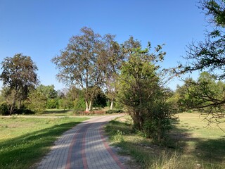 road in the park