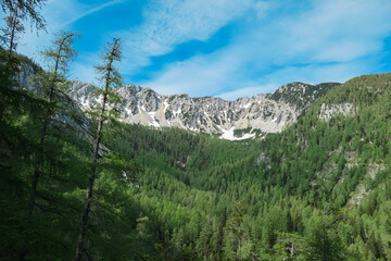 Panoramic view of mountain peaks Feistritzer Spitze (Hochpetzen) and Kriznik, Karawanks, Carinthia, Austria. Wanderlust Austrian Alps. Hiking trail through idyllic alpine forest on Petzen, Bleiburg