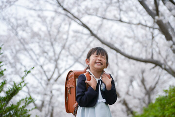 桜とランドセルの少女