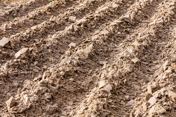 brown plowed farmland field ready for sowing. agricultural background. closeup view. - 773677945