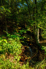 Fototapeta premium Hot Day on Bear Mountain