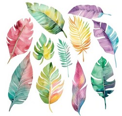 A collection of watercolor leaves displayed on a stark white backdrop
