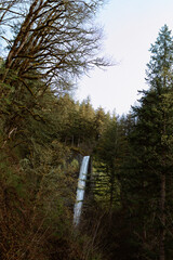 Oregon Waterfall 