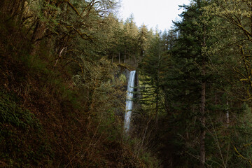 Oregon Waterfall 