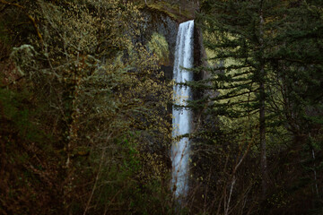 Oregon Waterfall 