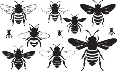 black and white illustration of a bee