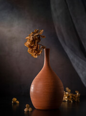 Modern still life with dry hydrangea in a clay vase on a dark background